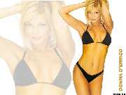 Donna D'Errico