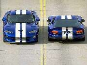 Viper 01